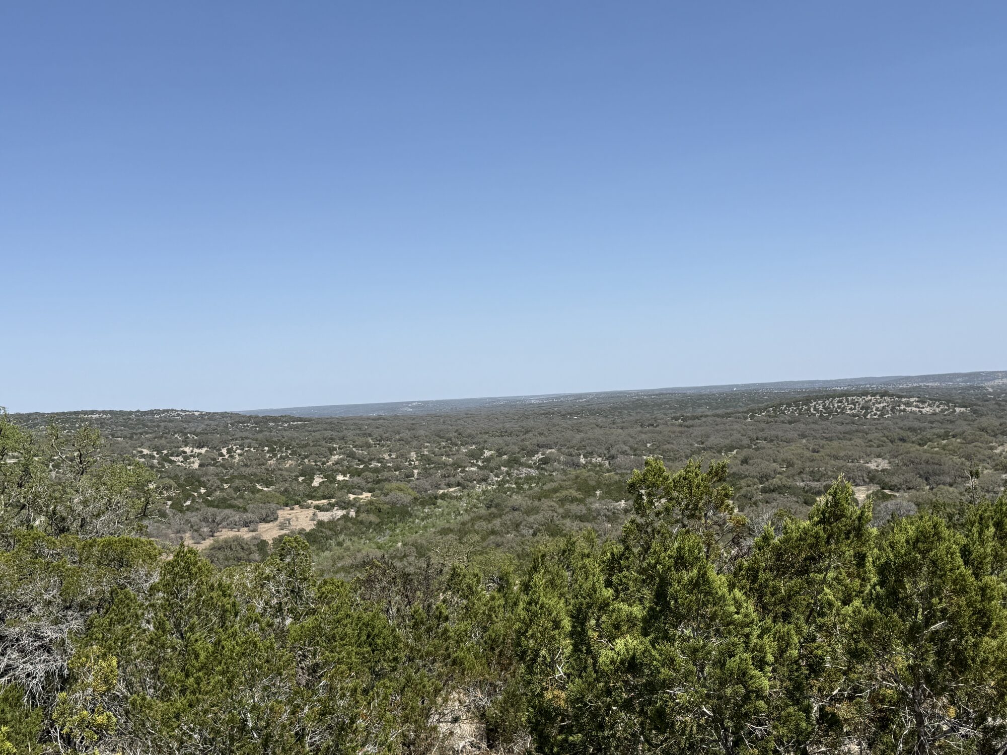 Pasture and caliche road